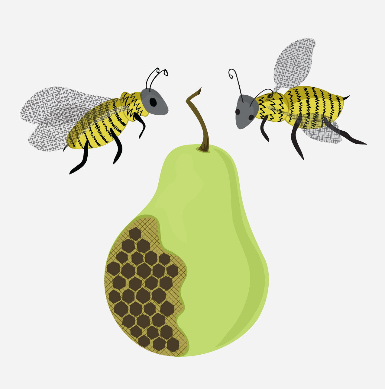 Illustrations — work 30