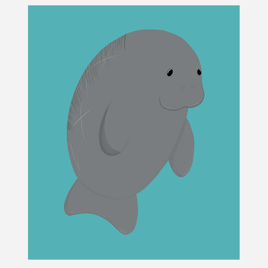 Illustrations — work 17